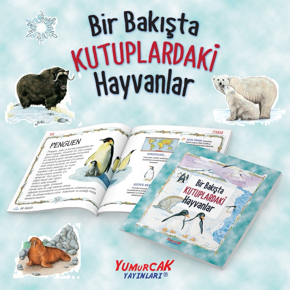 🌍 Bir Bakışta Hayvanlar Serisi 🐪🐬🐧🦊
Hayvanlar dünyasını keşfetmeye hazır mısınız? 🐾
Bir Bakışta Hayvanlar Serisi, çocukları farklı yaşam alanlarına götürüyor:
🏜️ Çöldeki Hayvanlar
🌊 Denizdeki Hayvanlar
❄️ Kutuplardaki Hayvanlar
🌲 Ormandaki Hayvanlar
Çocuklar birbirinden ilginç hayvanları tanırken; onların yaşadığı ortamları, özelliklerini ve doğadaki yaşamlarını keşfediyor. 🔎📚
Renkli çizimler ve eğlenceli anlatımıyla öğrenmeyi keyifli bir keşfe dönüştüren bu seri, küçük hayvanseverlerin kitaplığında yerini almaya hazır! ❤️
📚 Yumurcak Yayınları
#YumurcakYayınları #BirBakıştaHayvanlar #ÇocukKitapları #HayvanlarıKeşfet #ÇocuklardaOkuma